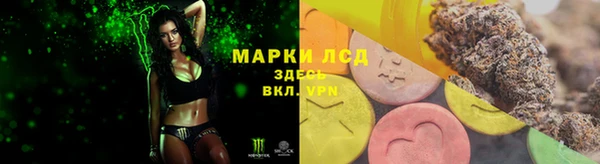 кокс Алзамай