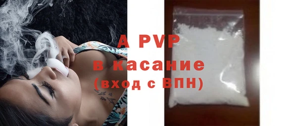 ECSTASY Магас