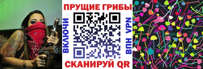 где продают наркотики  Красавино  Псилоцибиновые грибы MAGIC MUSHROOMS 